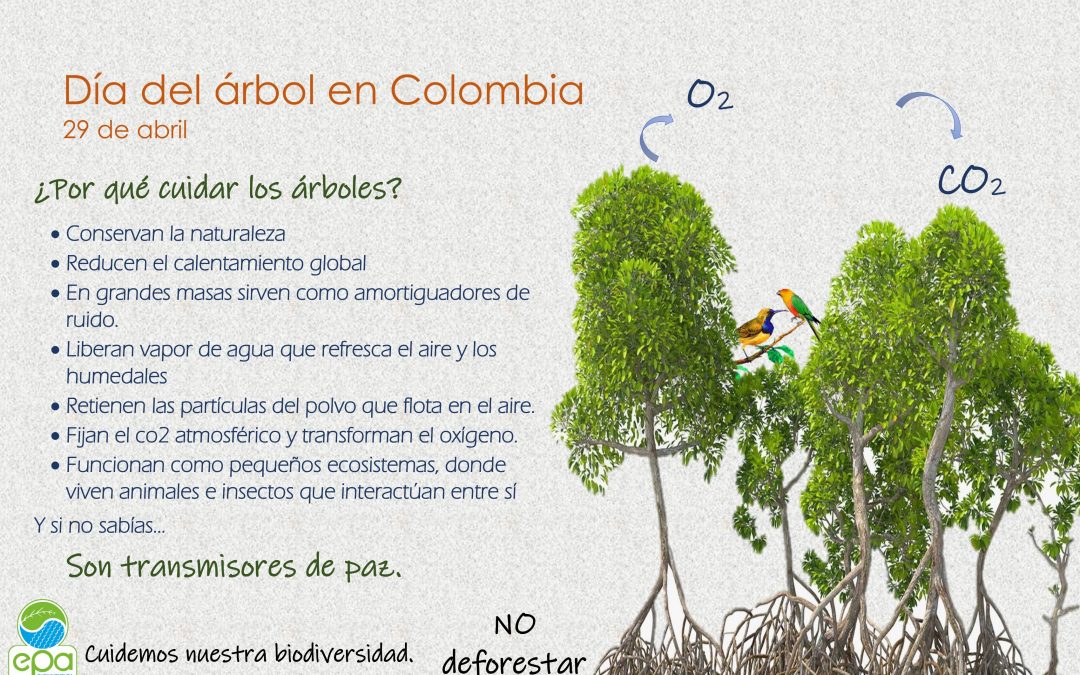 Día Del Árbol | EPA Buenaventura